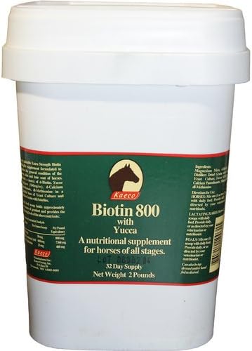 Biotin 800 Powder