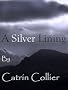 A SILVER LINING (HEARTS OF GOLD)