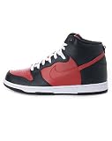 Nike Dunk High