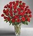 Ultimate Elegance Premium Long Stem Red Roses - Four Dozen Red Roses