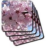 Pink Flowering Tree Flowers Macro Photography Floral - Set Of 4 Ceramic Tile Coasters