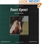 Paint Spirit (Spirit of the Horse)