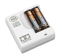 グレードアップパーツシリーズ No.419 GP.419 ニッケル水素電池 ネオチャンプ & 急速充電器