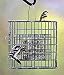 Suet Sanctuary Feeder (2 suet cakes) Bird Feeder