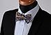HISDERN Bow Ties for Men Paisley Self Tie Bow Tie and Pocket Square Set Classic Business Formal Tuxedo Men's Bowtie Handkerchief for Wedding Party