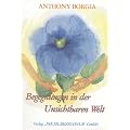 Begegnungen in der Unsichtbaren Welt