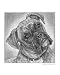 Boxer Animals Giclee Poster Print by Evelyn Morris Hecht, 16x20
