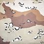 Rtc4139 Desert Camo Bandana, 22''