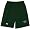 Michigan State Under Armour HeatGear Microshort - Men's ( sz. M, Green : Michigan State )