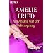 Am Anfang war der Seitensprung: Roman