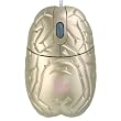 Gold Brain USB optical mouse - Fun Series
