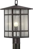 Forte Lighting 1319-01-32 Craftsman 1-Light Exterior Post Mount Lantern with Clear Seeded Glass, Ant