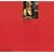 Durer (Phaidon Colour Library)