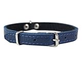 Genuine Leather Felt Padded Dog Collar X-Small 11"x1/2" Wide Fits 8"-10" Neck, Chihuahua, Puppies