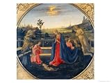 Adoration of the Child Giclee Poster Print by Filippino Lippi, 18x24