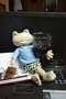 Froschteich Internet