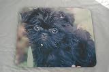 Affenpinscher DOG Mouse Mat Pad New K9 Unique Gift