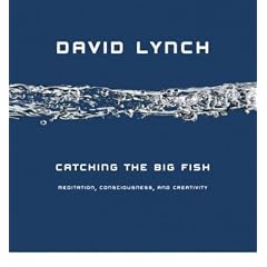 (CATCHING THE BIG FISH: MEDITATION, CONSCIOUSNESS, AND CREATIVITY) BY Lynch, David (Author) Paperback Published on (01 , 2008)