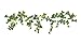 Crearreda CR-54152 Ivy Wall Decals, Green