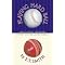 Baseball Books For Fans Of Other Sports