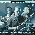 Design in Time by Sound in Action Trio and Ken Vandermark