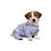 Pet Supplies : Dream PJS Blue - Medium