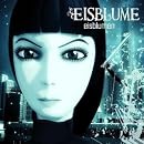 Eisblumen (inkl. Video-Clip)