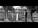 Carte Blanche with Free 128MB USB Drive and Limbo of the Lost Demo (PC CD)
