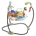 Fisher-Price Luv U Zoo Jumperoo