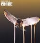 Fabriclive.38