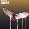 Image of album by DJ Craze