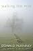 Walking the Mist: Celtic Spirituality for the 21st Century