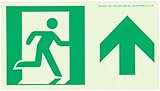 UPC 887481000046 product image for NMC 50F-1SN-F 7550 Glo Brite Nyc Directional Flex Glow Sign with Forward Graphic | upcitemdb.com