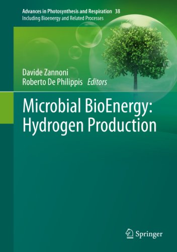 Microbial BioEnergy: Hydrogen Production (Advances in Photosynthesis and Respiration)