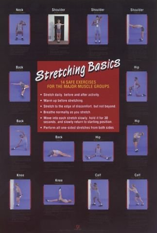 Stretching Basics Poster reviews