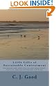 Little Gifts of Sustainable Contentment