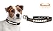 NFL New Orleans Saints Classic Leather Football Collar, Small