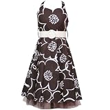  : Plus Size Girls Clothes BROWN HALTER Dress RARE EDITIONS Girl Fall 10.5-18.5