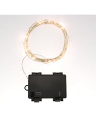 Home: Rtgs Micro LED 60 Super Bright Warm White Color Indoor and Outdoor String Lights Battery Operated on 20 Ft Long Silver Color Ultra Thin String Wire with Timer [NEWEST VERSION] + 100% RTGS Products Satisfaction Guarantee - RTGS Products