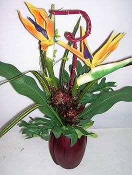 24" Tropical Bird of Paradise Arrangement