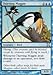 Thieving Magpie 10th Edition Foil