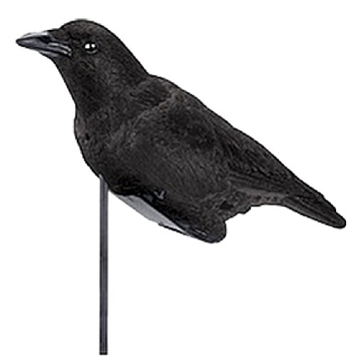 Edge 69209-7 Cawlin Crow Decoy