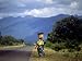 Malawi -The Road to Zomba Photographic Poster Print by Mirrorpix, 16x12 Image