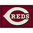 MLB Spirit Baseball Novelty Rug Size: 5'4" x 7'8", MLB Team: Cincinnati Reds