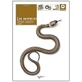 Serpents de France et d'Europe