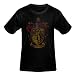 All Products : Boys Harry Potter Gryffindor Logo Distress Black