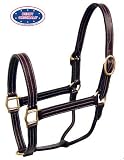 LEATHER HALTER THOROUGHBRED BROWN 1INCH