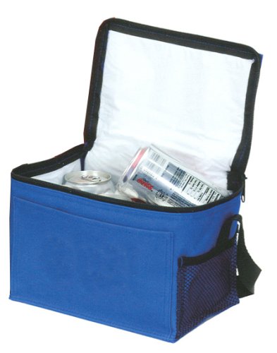 Insulated Lunch Bag (Blue)