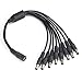 Female 2.1mm Jack to 8 Male 2.1mm Plugs CCTV Power Y Adapter