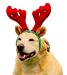 Bright Red Rudolf Dog / Cat Antlers - Small